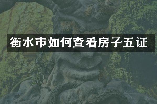 衡水市如何查看房子五证