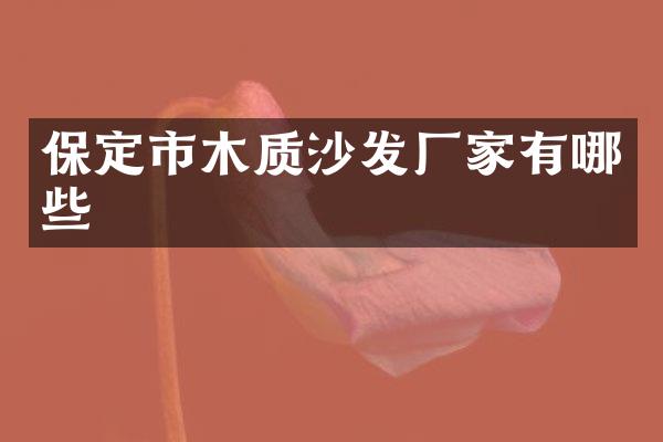 保定市木质沙发厂家有哪些
