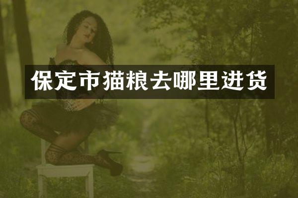保定市猫粮去哪里进货