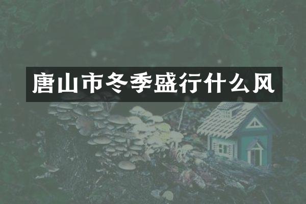唐山市冬季盛行什么风