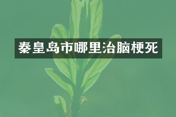 秦皇岛市哪里治脑梗死