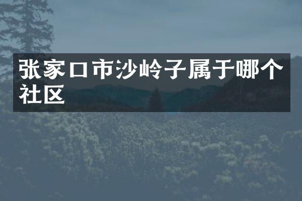 张家口市沙岭子属于哪个社区
