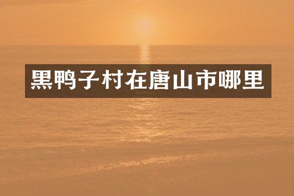 黑鸭子村在唐山市哪里