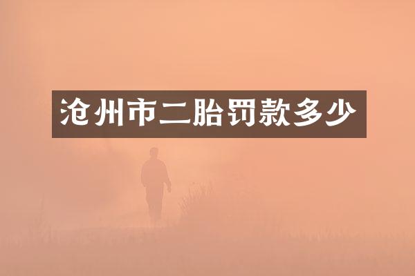 沧州市二胎罚款多少