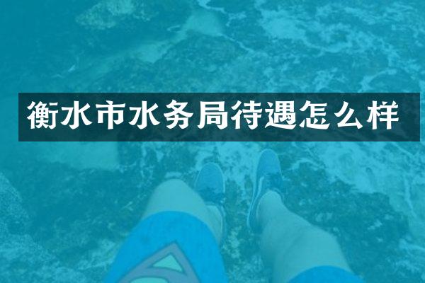 衡水市水务局待遇怎么样