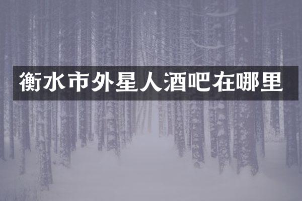 衡水市外星人酒吧在哪里