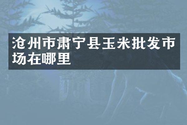 沧州市肃宁县玉米批发市场在哪里