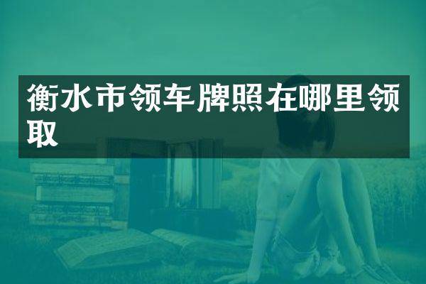 衡水市领车牌照在哪里领取