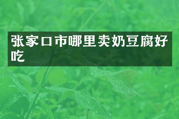 张家口市哪里卖奶豆腐好吃