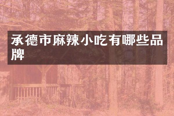 承德市麻辣小吃有哪些品牌