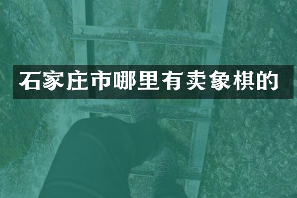 石家庄市哪里有卖象棋的