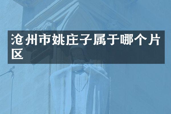 沧州市姚庄子属于哪个片区
