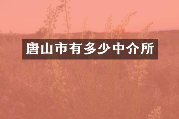 唐山市有多少中介所