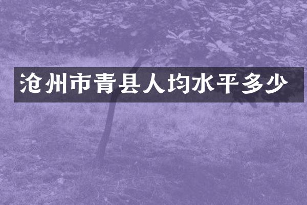沧州市青县人均水平多少