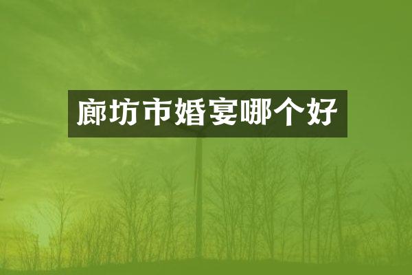 廊坊市婚宴哪个好