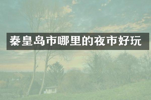 秦皇岛市哪里的夜市好玩