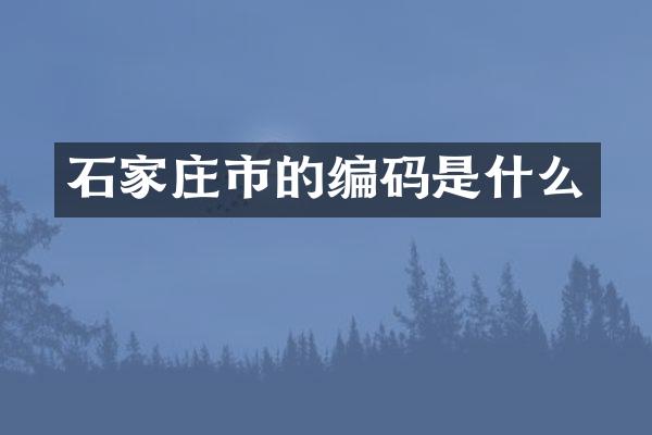 石家庄市的编码是什么