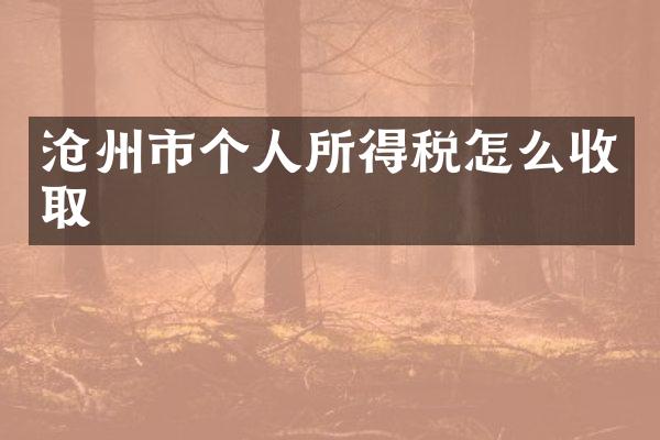 沧州市个人所得税怎么收取