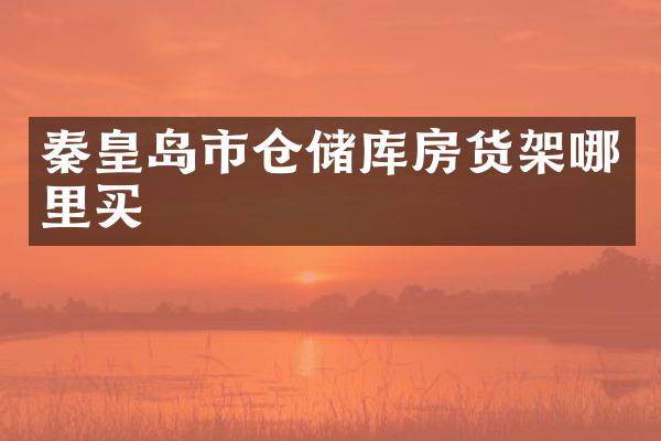 秦皇岛市仓储库房货架哪里买