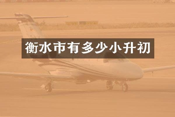 衡水市有多少小升初