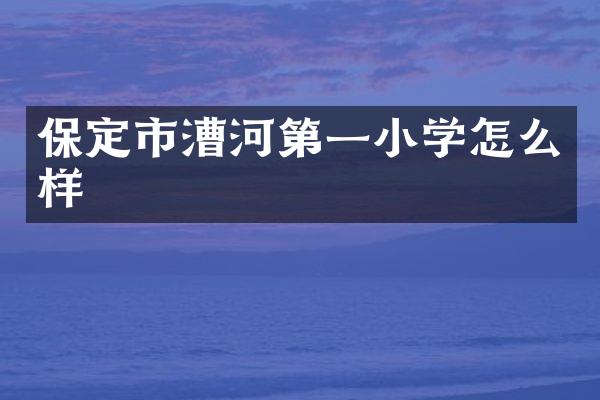 保定市漕河第一小学怎么样
