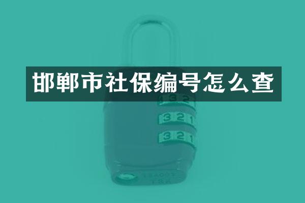 邯郸市社保编号怎么查