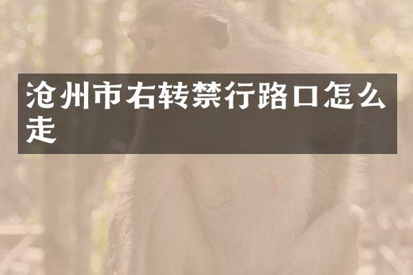 沧州市右转禁行路口怎么走