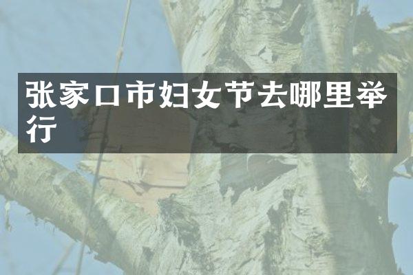 张家口市妇女节去哪里举行