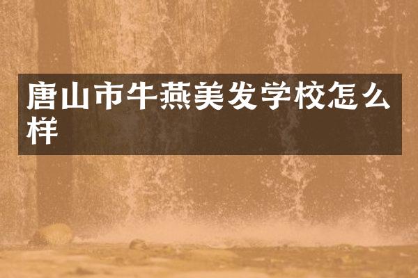 唐山市牛燕美发学校怎么样