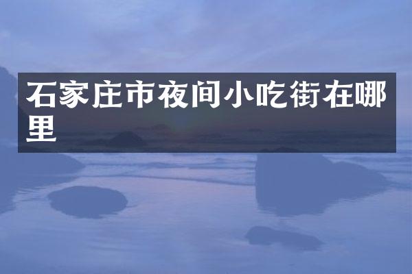 石家庄市夜间小吃街在哪里