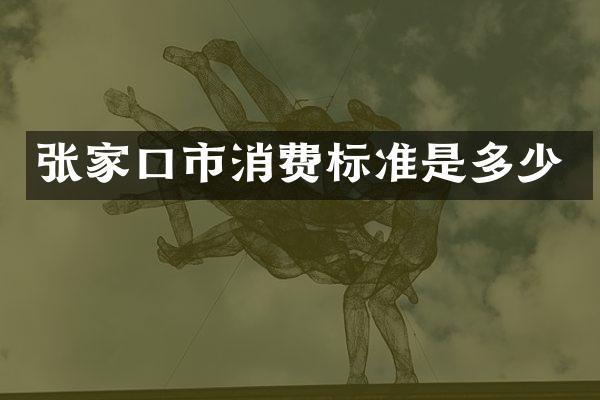 张家口市消费标准是多少