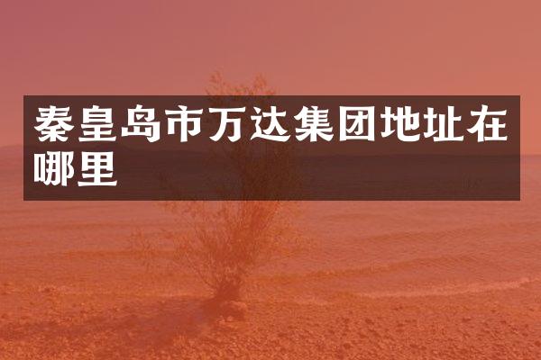秦皇岛市万达集团地址在哪里