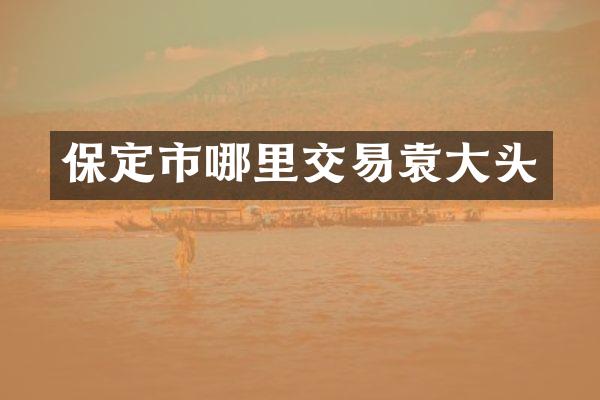 保定市哪里交易袁大头