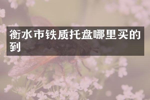 衡水市铁质托盘哪里买的到