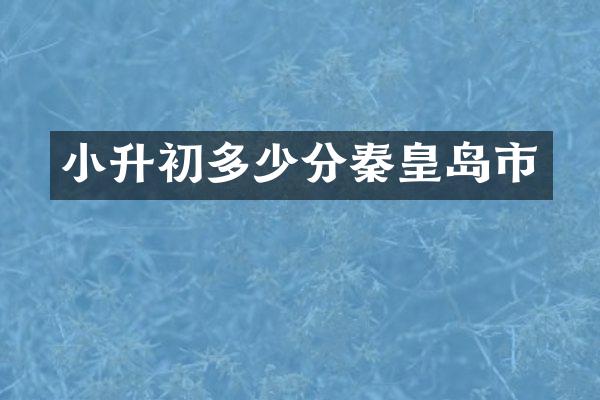 小升初多少分秦皇岛市