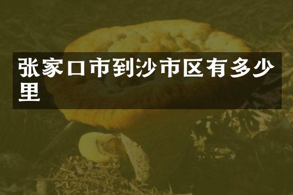 张家口市到沙市区有多少里