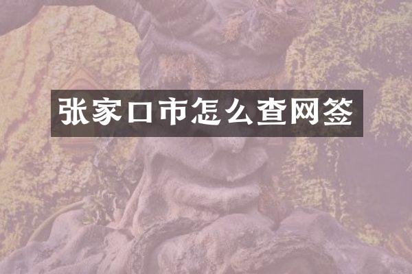 张家口市怎么查网签