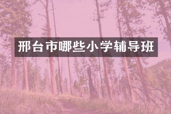 邢台市哪些小学辅导班