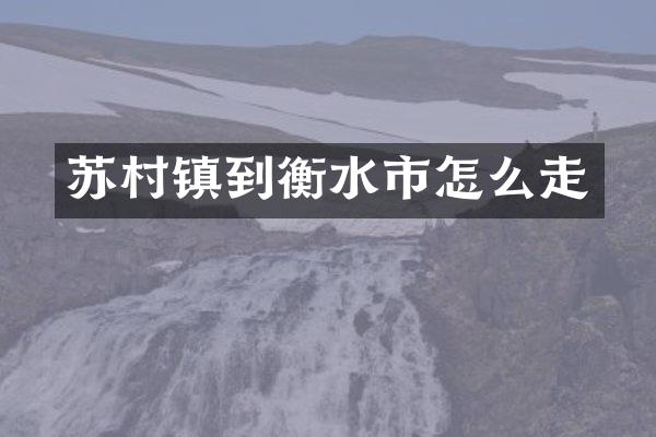 苏村镇到衡水市怎么走