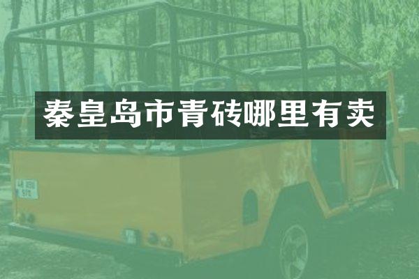 秦皇岛市青砖哪里有卖