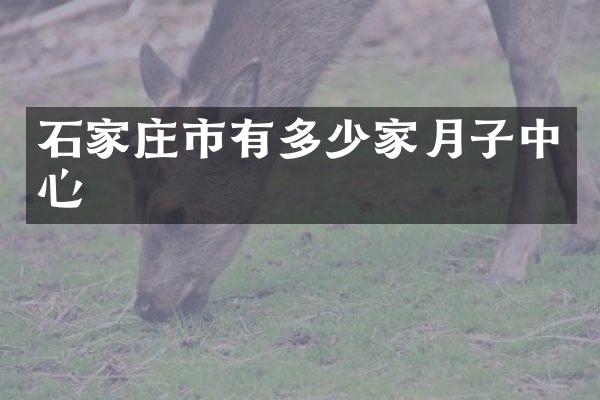 石家庄市有多少家月子中心