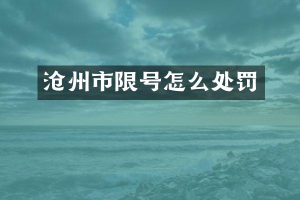 沧州市限号怎么处罚