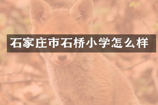 石家庄市石桥小学怎么样