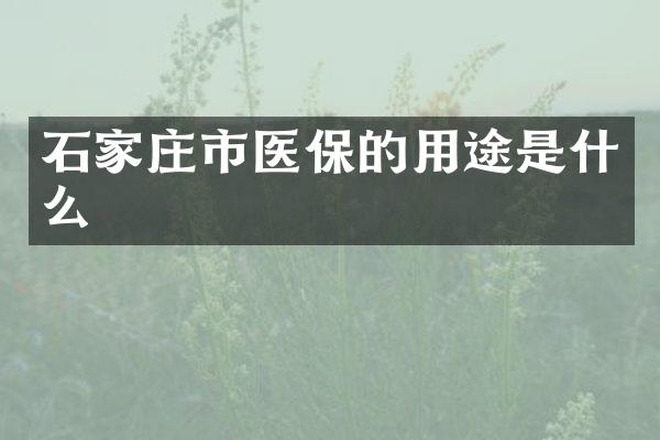 石家庄市医保的用途是什么