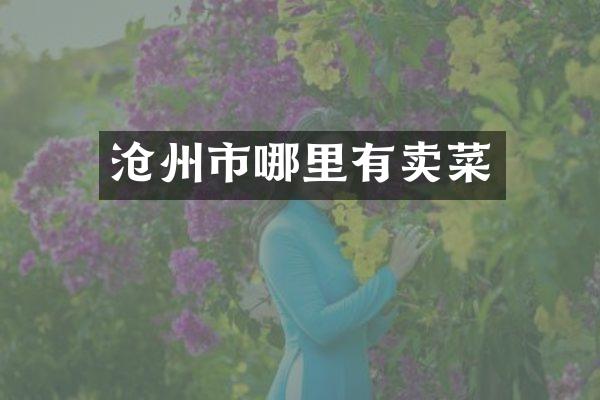 沧州市哪里有卖菜