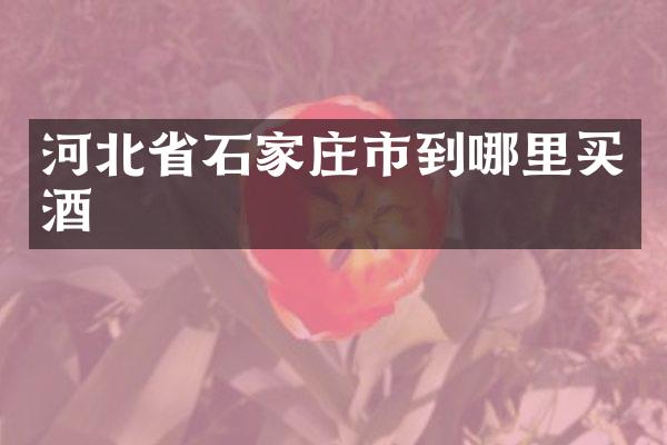 河北省石家庄市到哪里买酒
