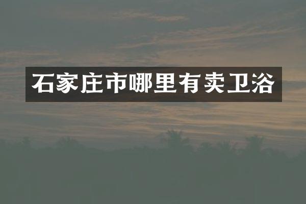 石家庄市哪里有卖卫浴