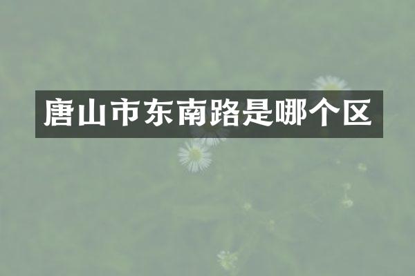 唐山市东南路是哪个区