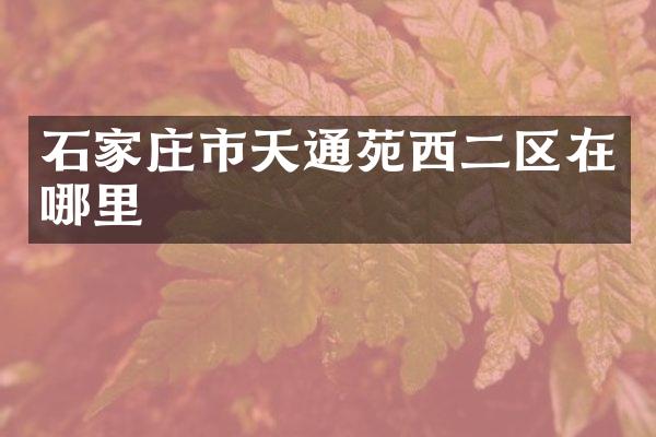 石家庄市天通苑西二区在哪里