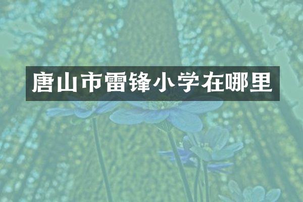 唐山市雷锋小学在哪里